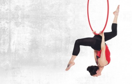 Aerial Hoop