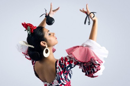 Flamenco chico