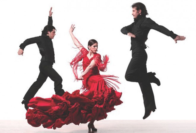 Flamenco intermedio